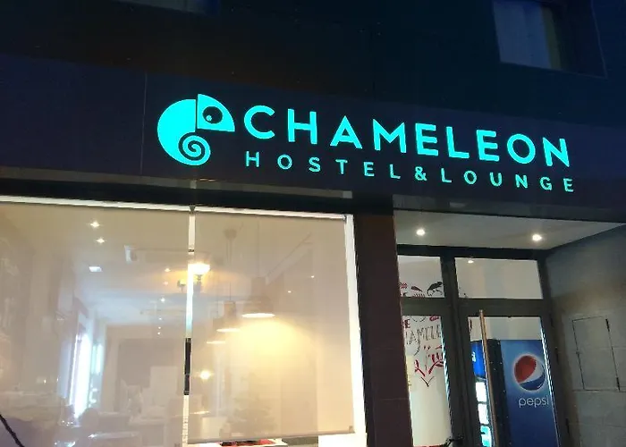 Chameleon Youth Alicante