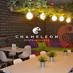Chameleon Youth Hostel