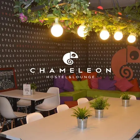 Chameleon Youth Hostel
