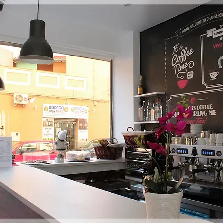 Chameleon Youth Хостел