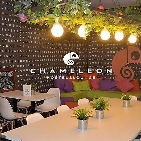 Chameleon Youth אליקאנטה