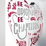 Chameleon Youth Hostel