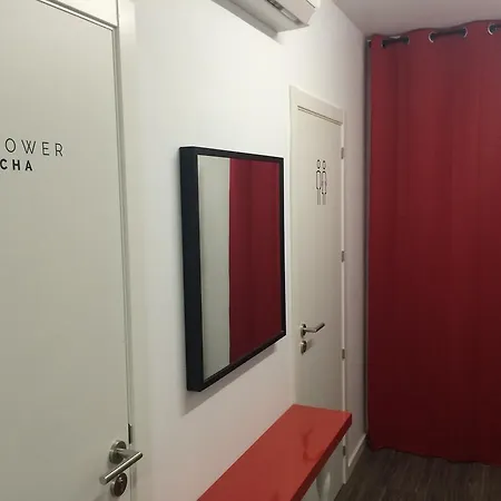 카멜레온 *