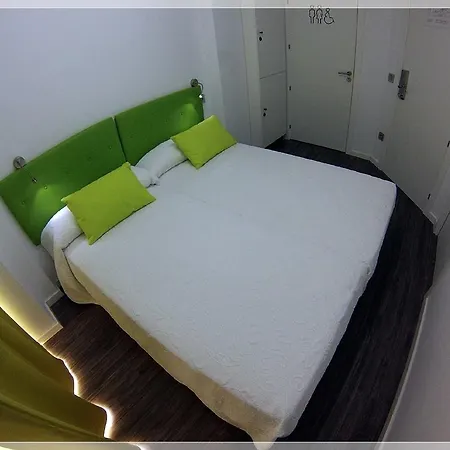 카멜레온 알리칸테