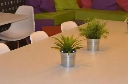 Chameleon Youth Hostel Alicante