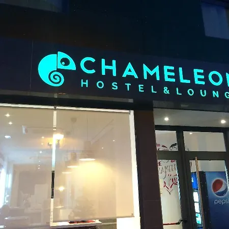 카멜레온 알리칸테