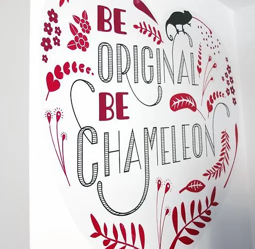 Chameleon Youth Auberge de jeunesse