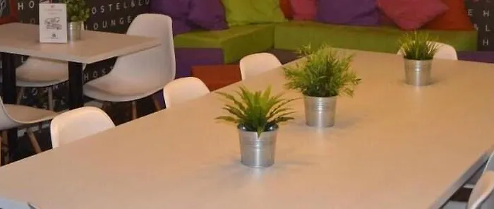 Chameleon Youth Auberge de jeunesse Alicante