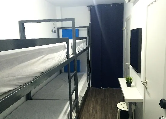Chameleon Youth Auberge de jeunesse *