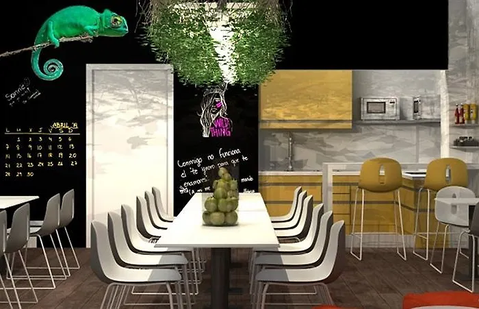 Chameleon Youth Auberge de jeunesse *